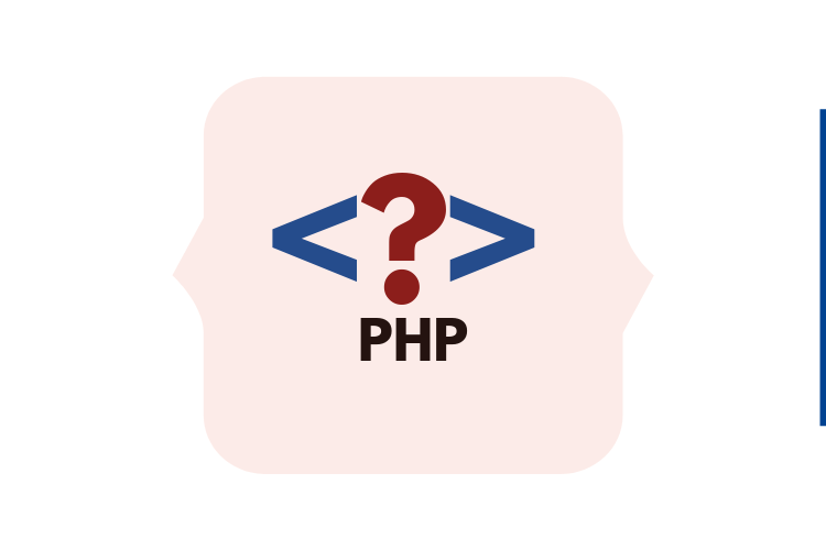 PHP training institute in  delhi