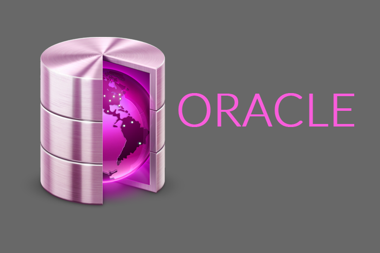 oracle summer training