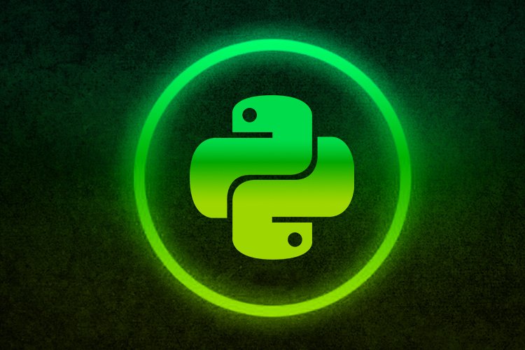 python summer training